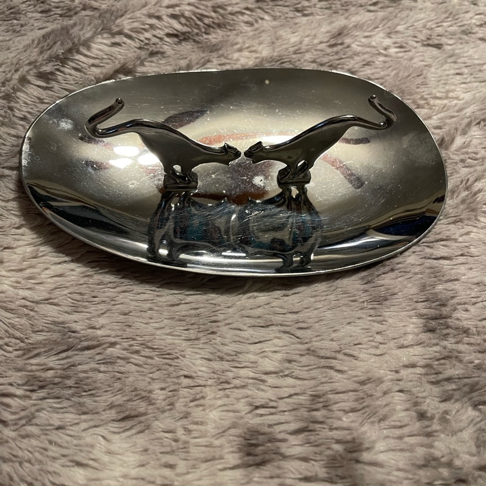 Snarling Cat Tray